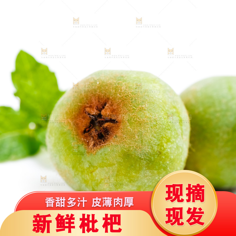 白底上放着枇杷果