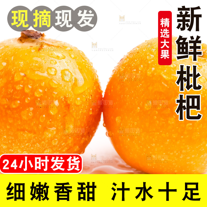 白底上摆放着枇杷果