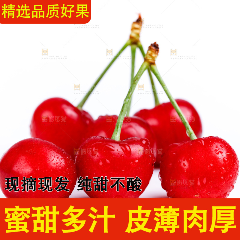 白底上的烟台樱桃