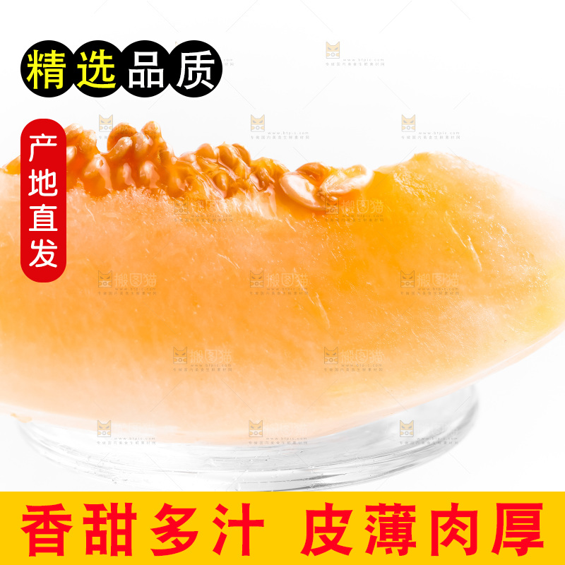 浅底上的东方蜜瓜