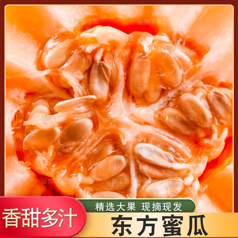 山东东方蜜瓜放在木底上