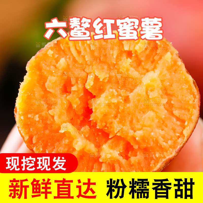 手里拿着六鳌蜜薯