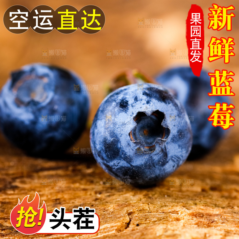 深底上摆放着蓝莓