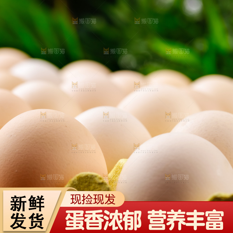 木底上的新鲜鸡蛋