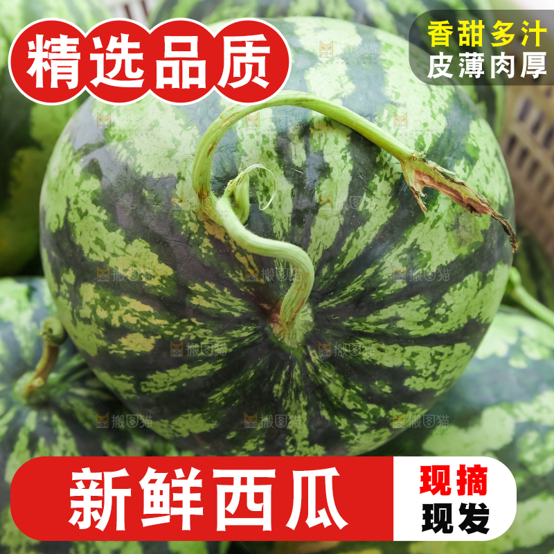 框子里装着西瓜