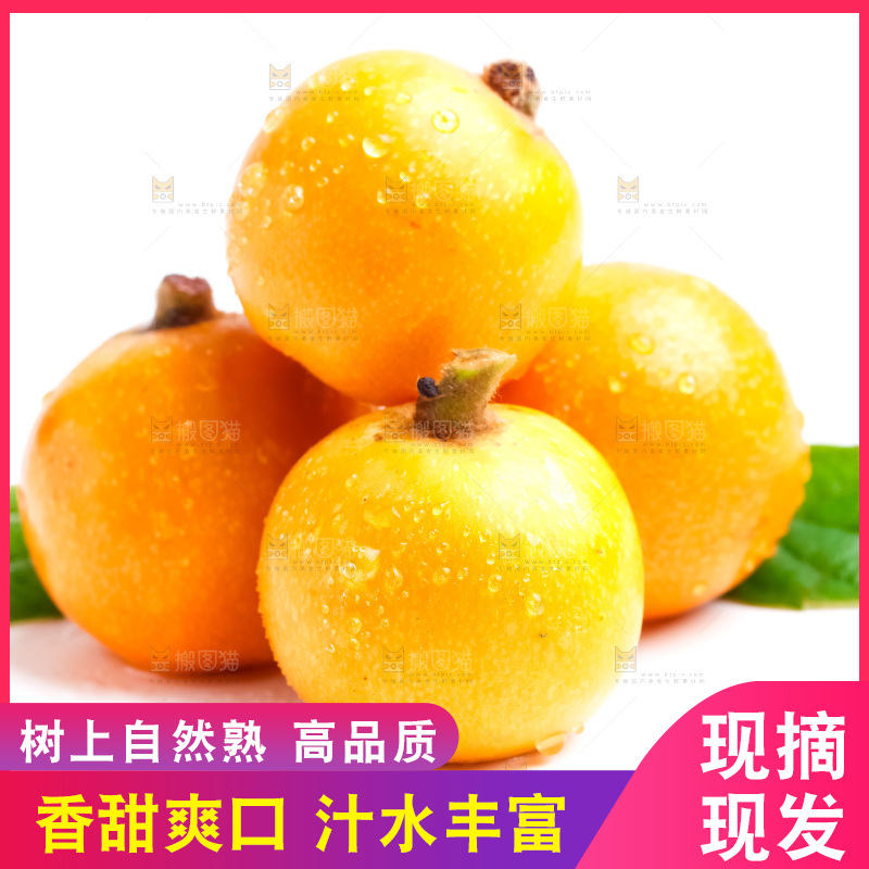 白底上放着新鲜枇杷