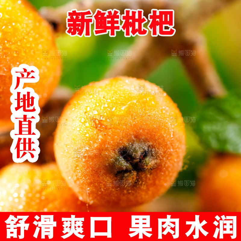 深底上放着枇杷果