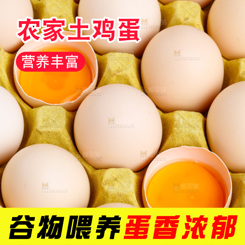 白底上的土鸡蛋