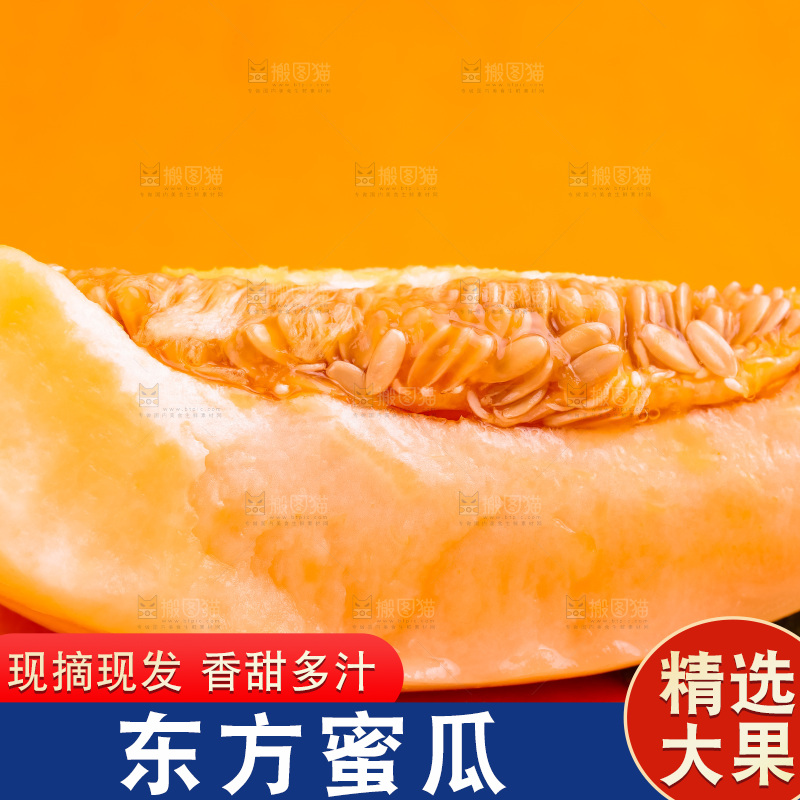 浅底上放着山东东方蜜瓜