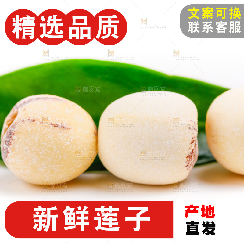 白底上的莲子
