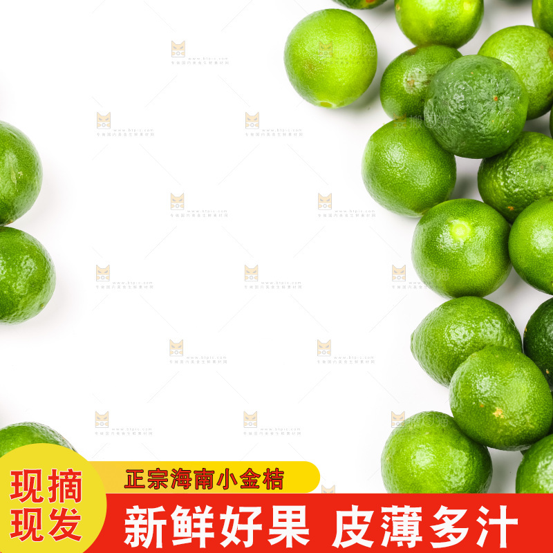 白底上摆放着小金桔