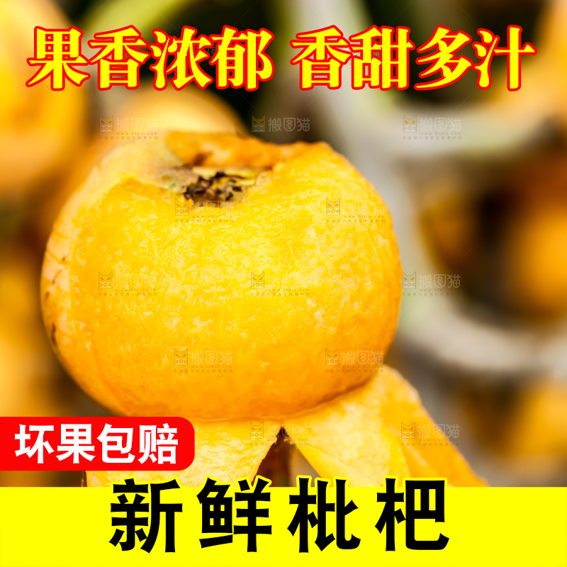 手里拿着枇杷