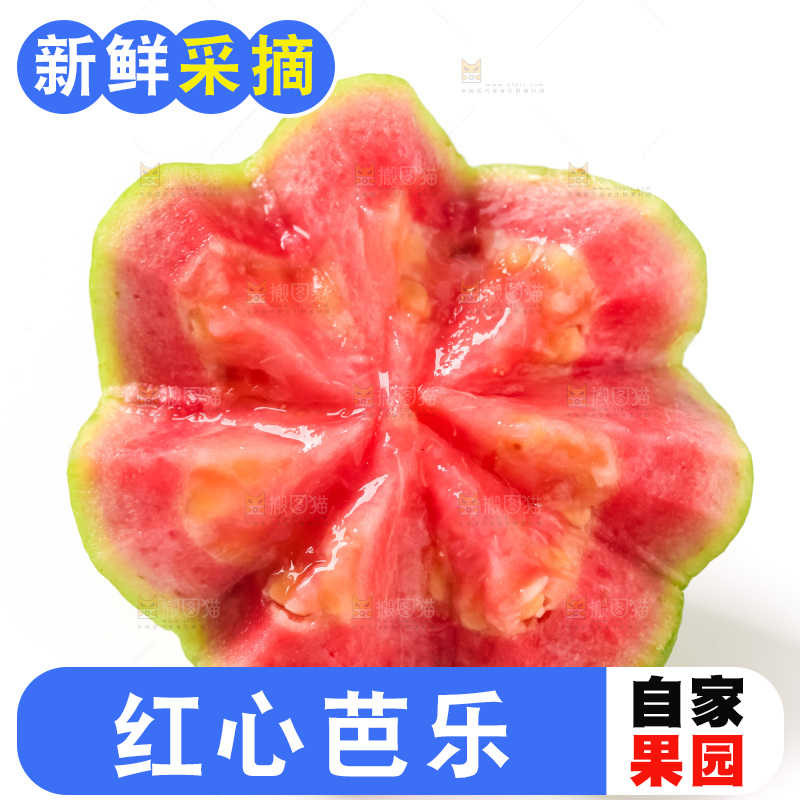 白底上放着红心芭乐