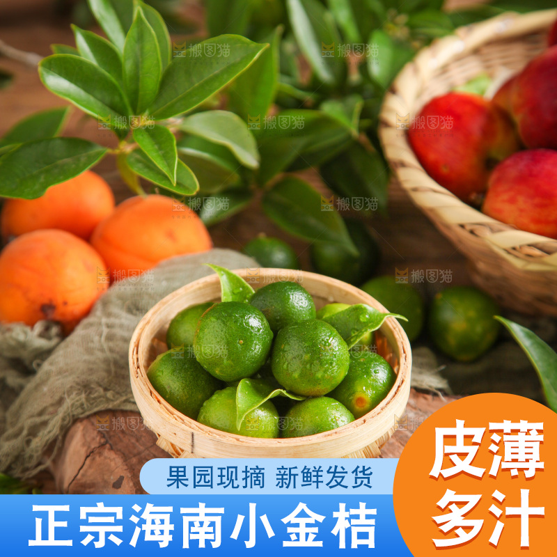 篮子里装着小金桔