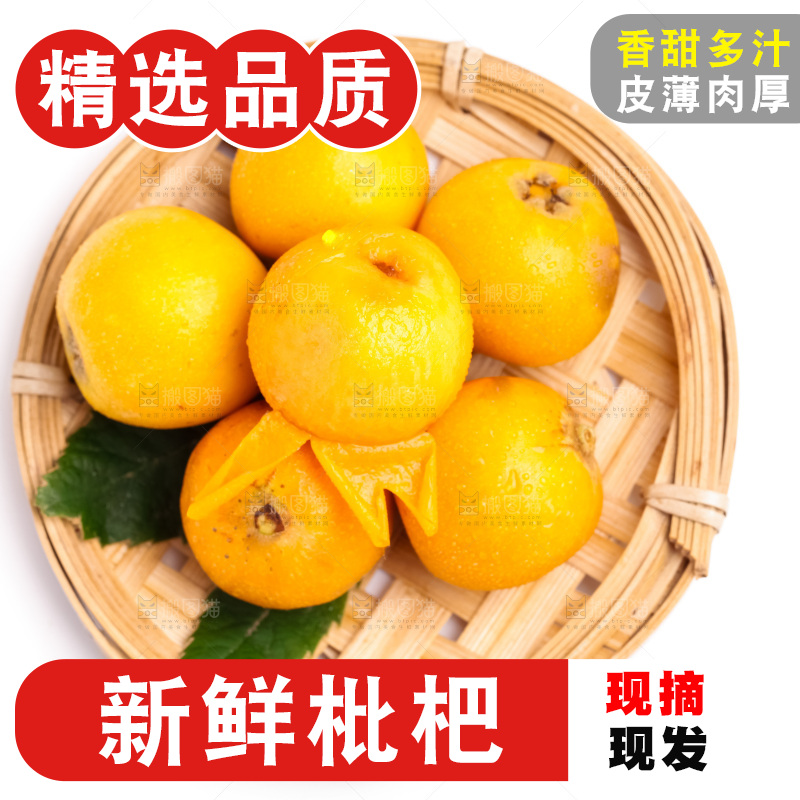 篮子里装着新鲜枇杷