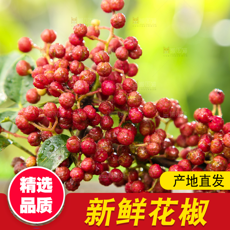 户外的红花椒