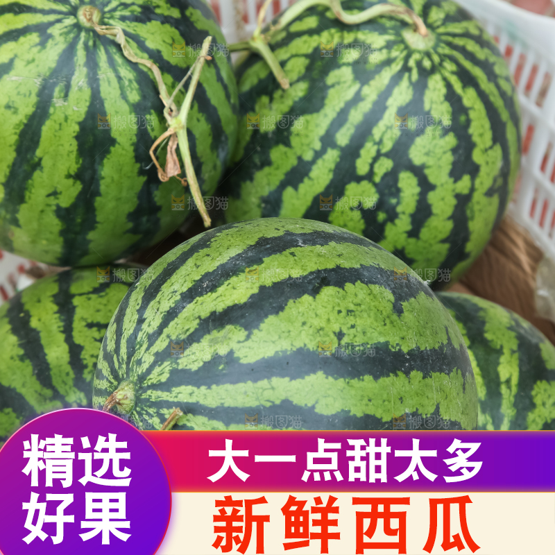 框子里装着西瓜