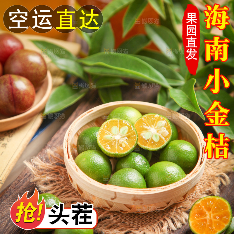 篮子里装着新鲜小金桔