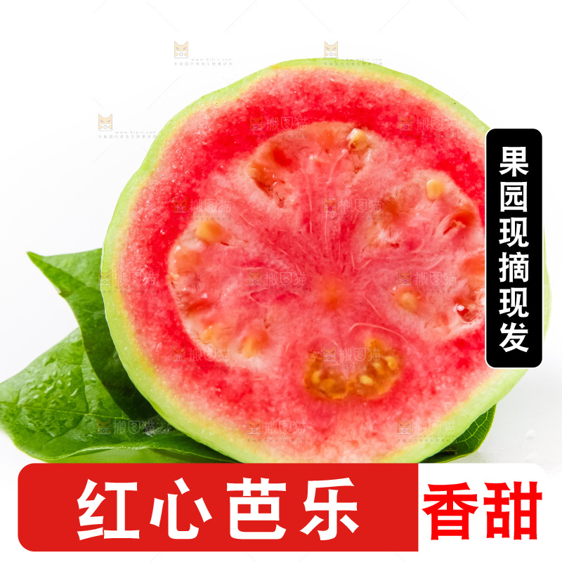 白底上放着红心番石榴