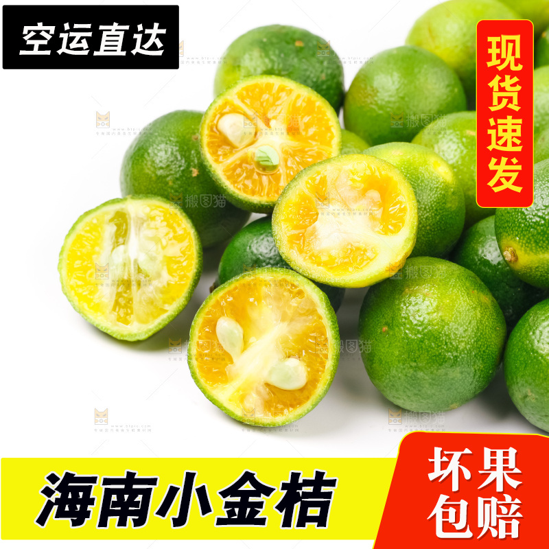 白底上摆放着小金桔