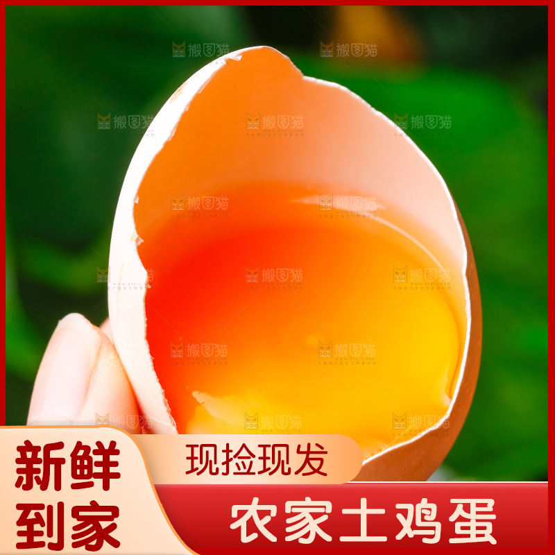 手拿新鲜土鸡蛋