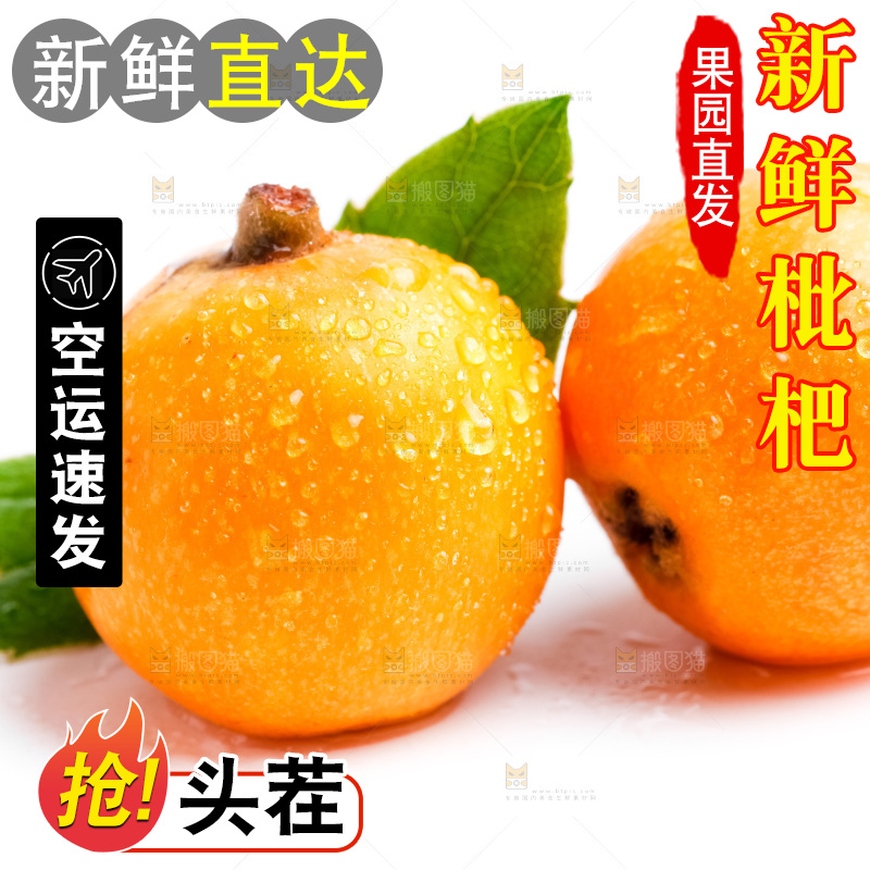 浅底上摆放着枇杷果