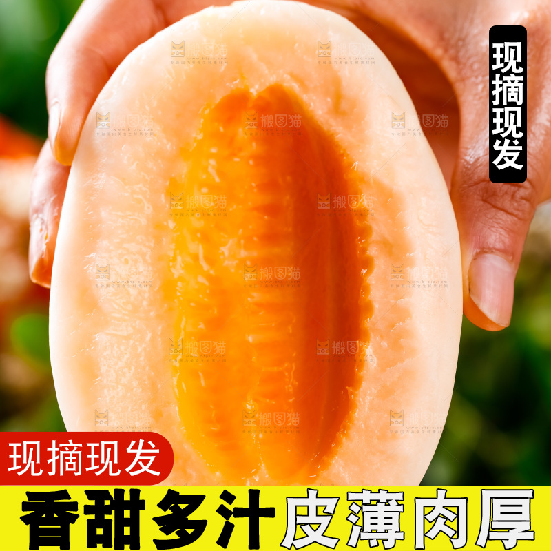 手拿东方蜜瓜切块