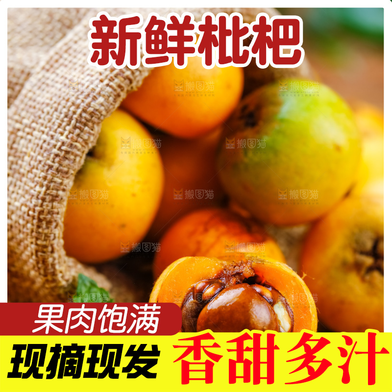 袋子里装着新鲜枇杷