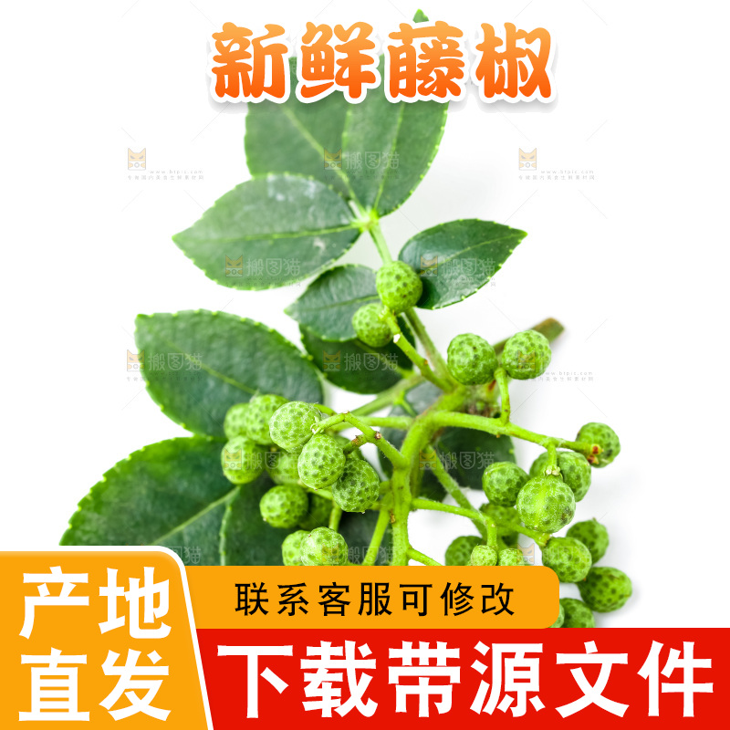 白底上摆放着新鲜藤椒