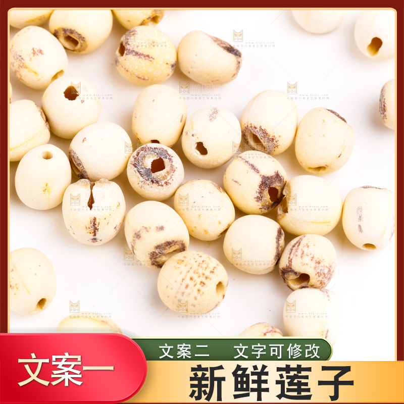 白底上的莲子