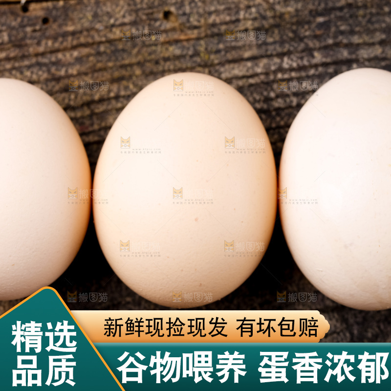 木底上的新鲜鸡蛋