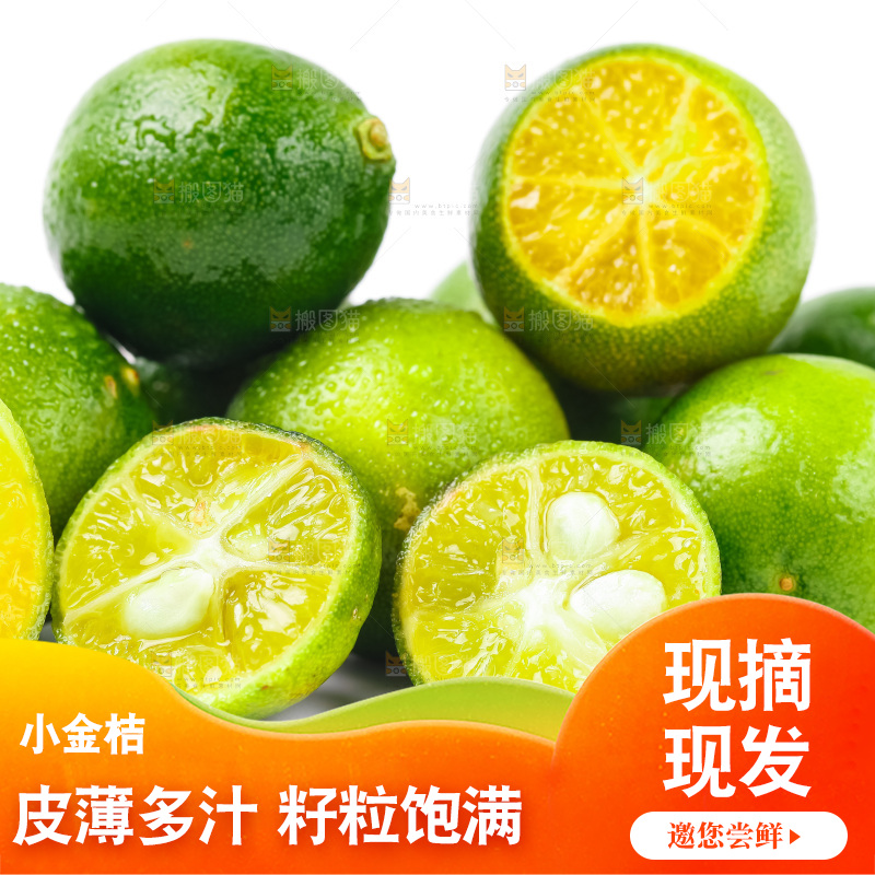 浅底上摆放着小金桔