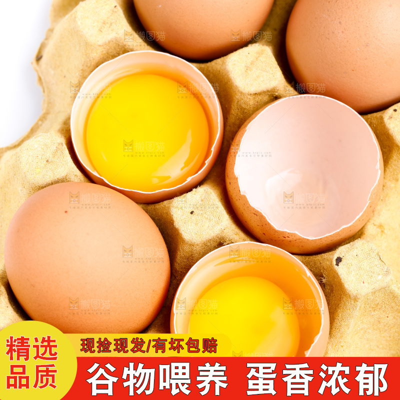 白底上的新鲜鸡蛋