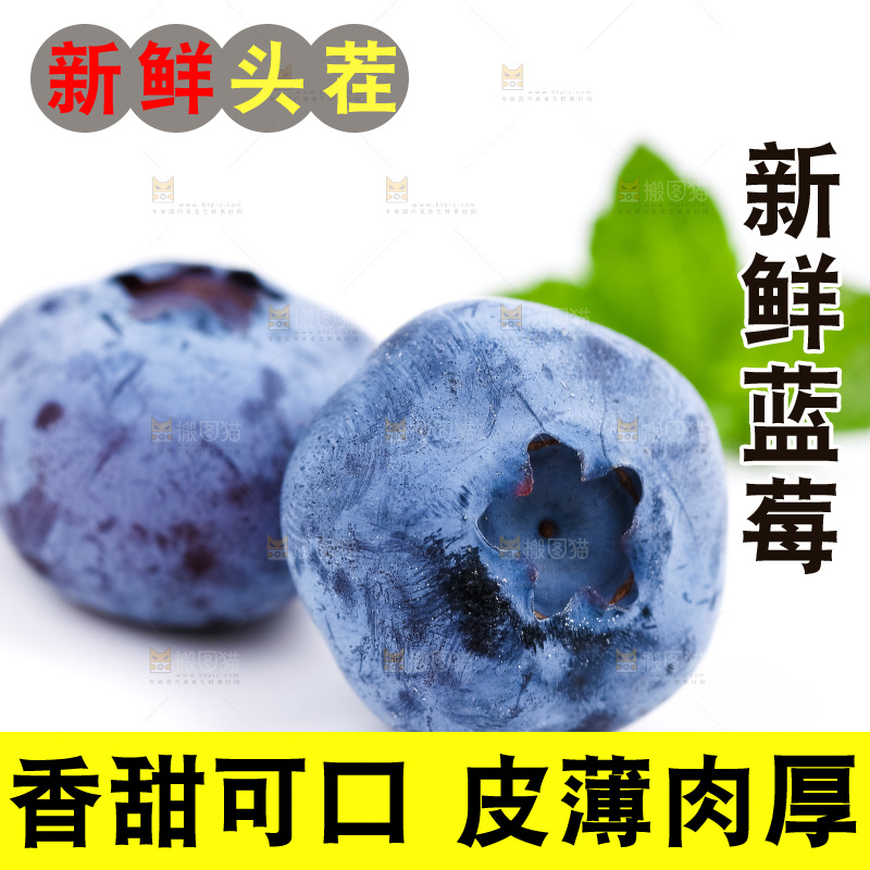 白底上放着新鲜蓝莓