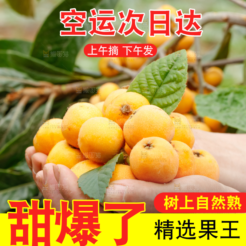 手里捧着新鲜枇杷