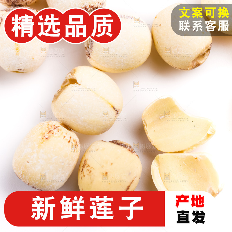 白底上的莲子