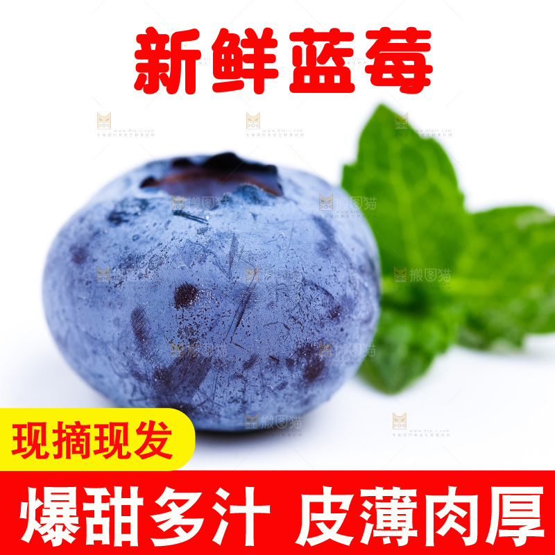 白底上放着新鲜蓝莓