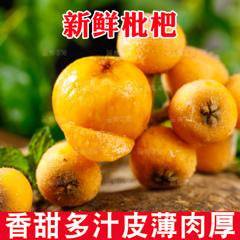 深底上放着枇杷果