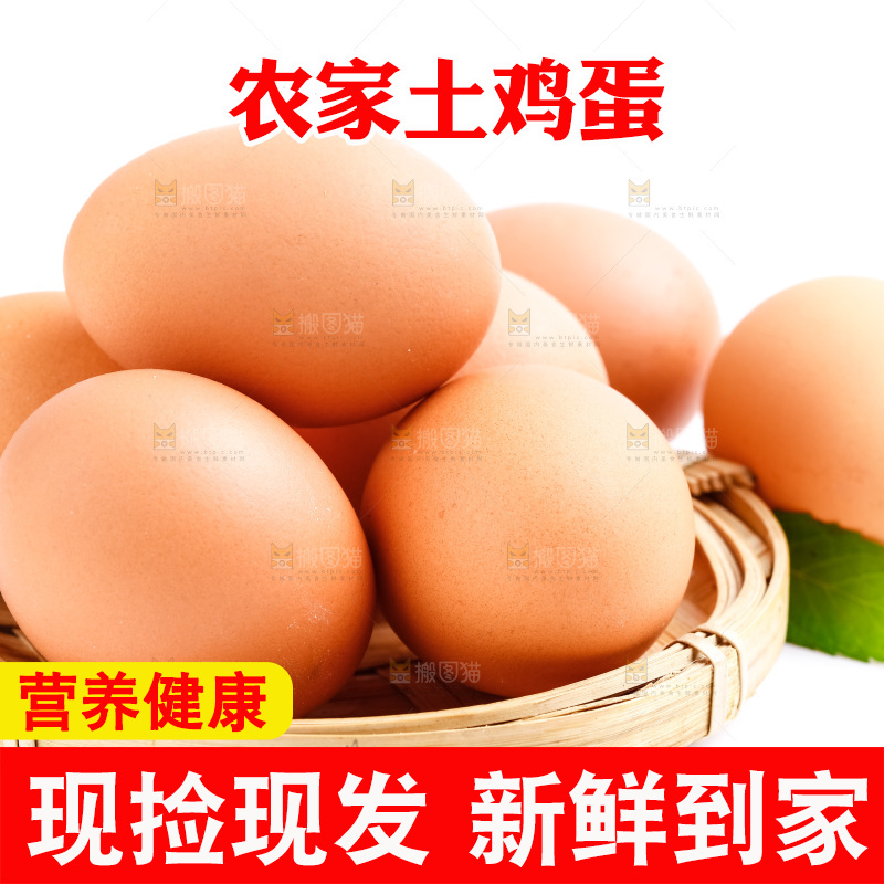 白底上的鲜鸡蛋