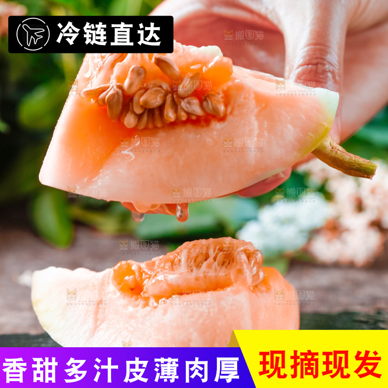 手拿东方蜜瓜