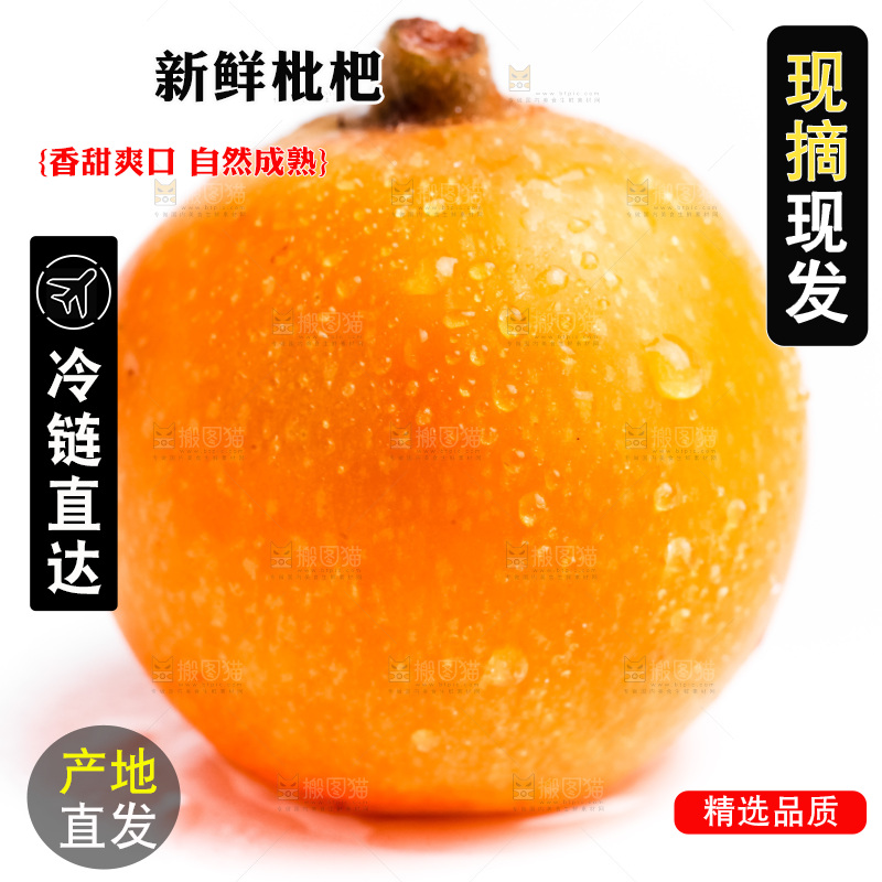 浅底上摆放着枇杷果