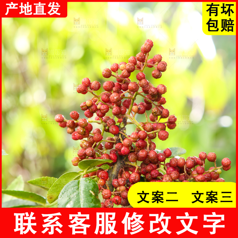 户外的红花椒