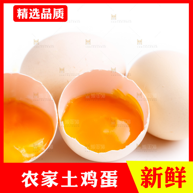 白底上的鸡蛋