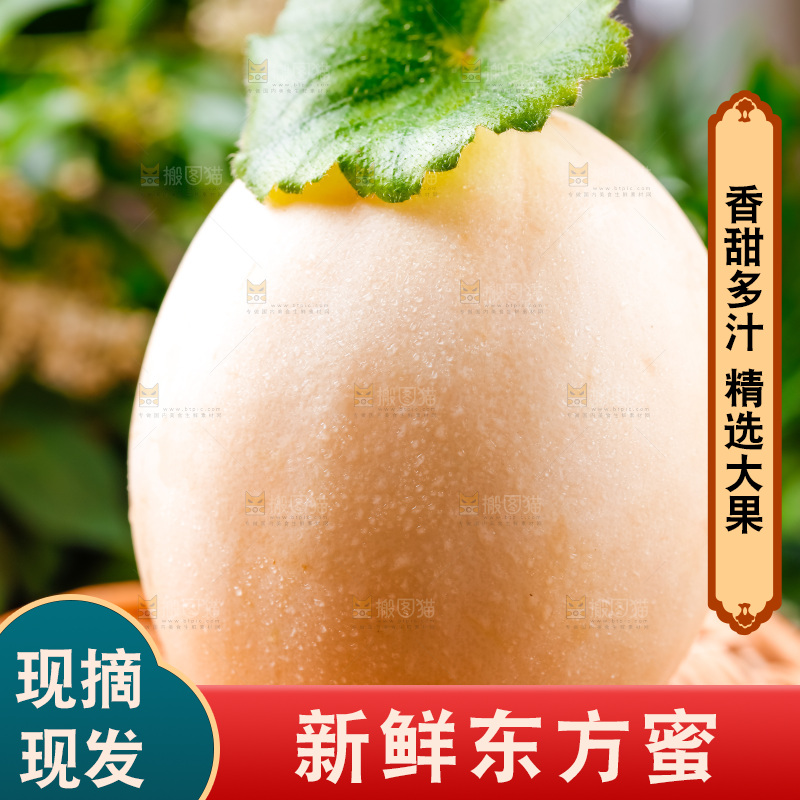 竹筐上放着新鲜蜜瓜