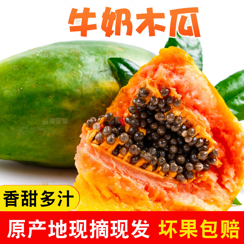 白底上摆放着牛奶木瓜