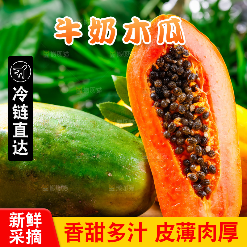 木底上放着冰糖红心木瓜