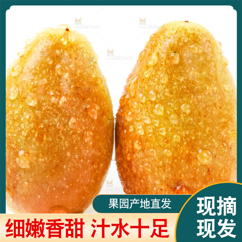 白底上摆放着鲜枣