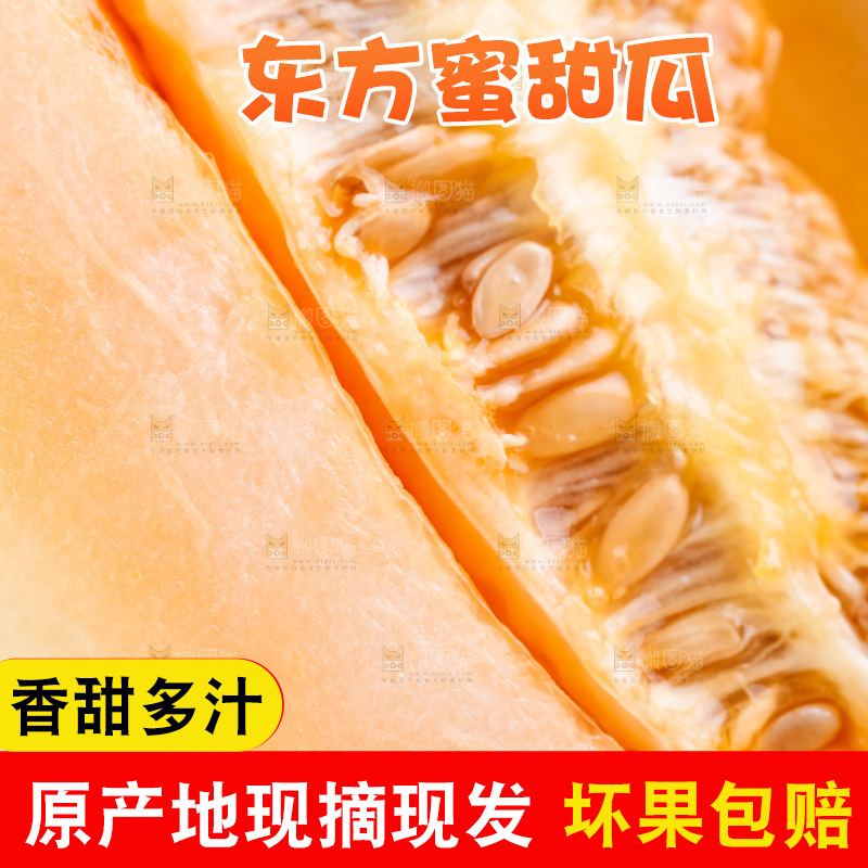 山东东方蜜瓜放在白底上