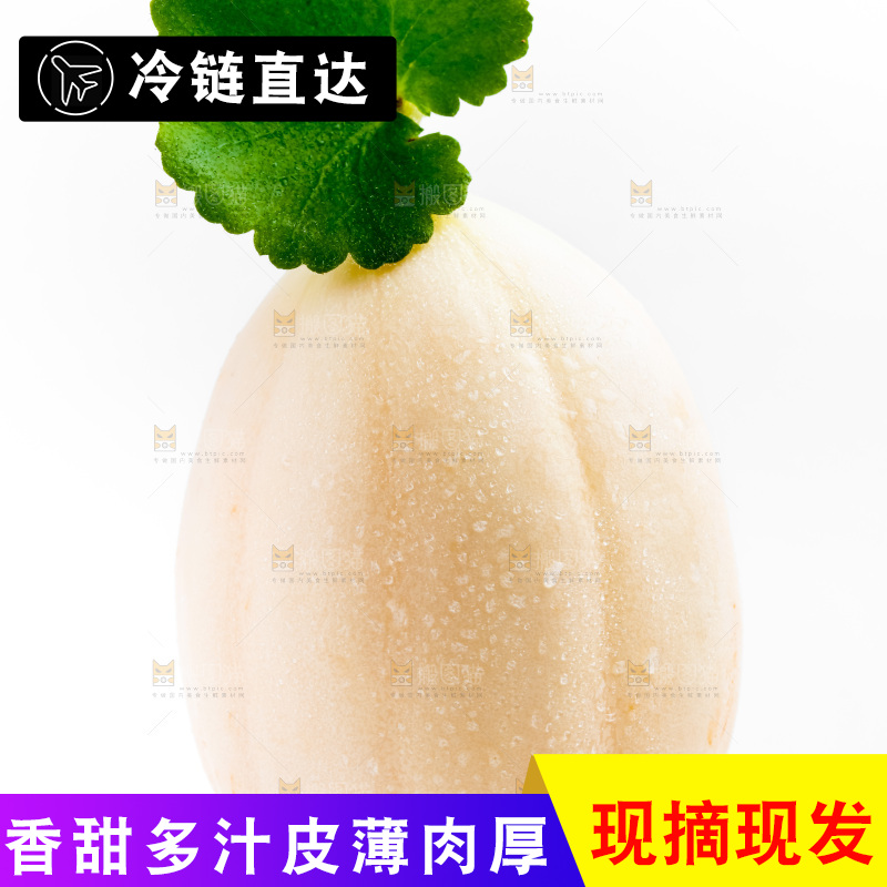 白底上的东方蜜瓜