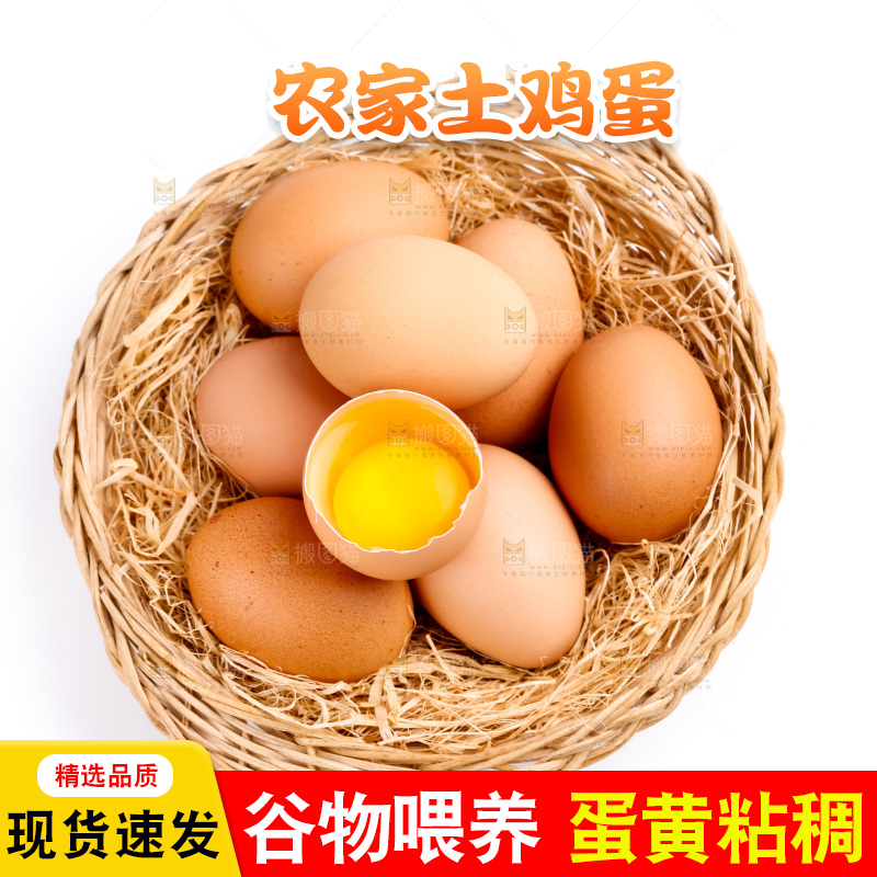 白底上的新鲜鸡蛋
